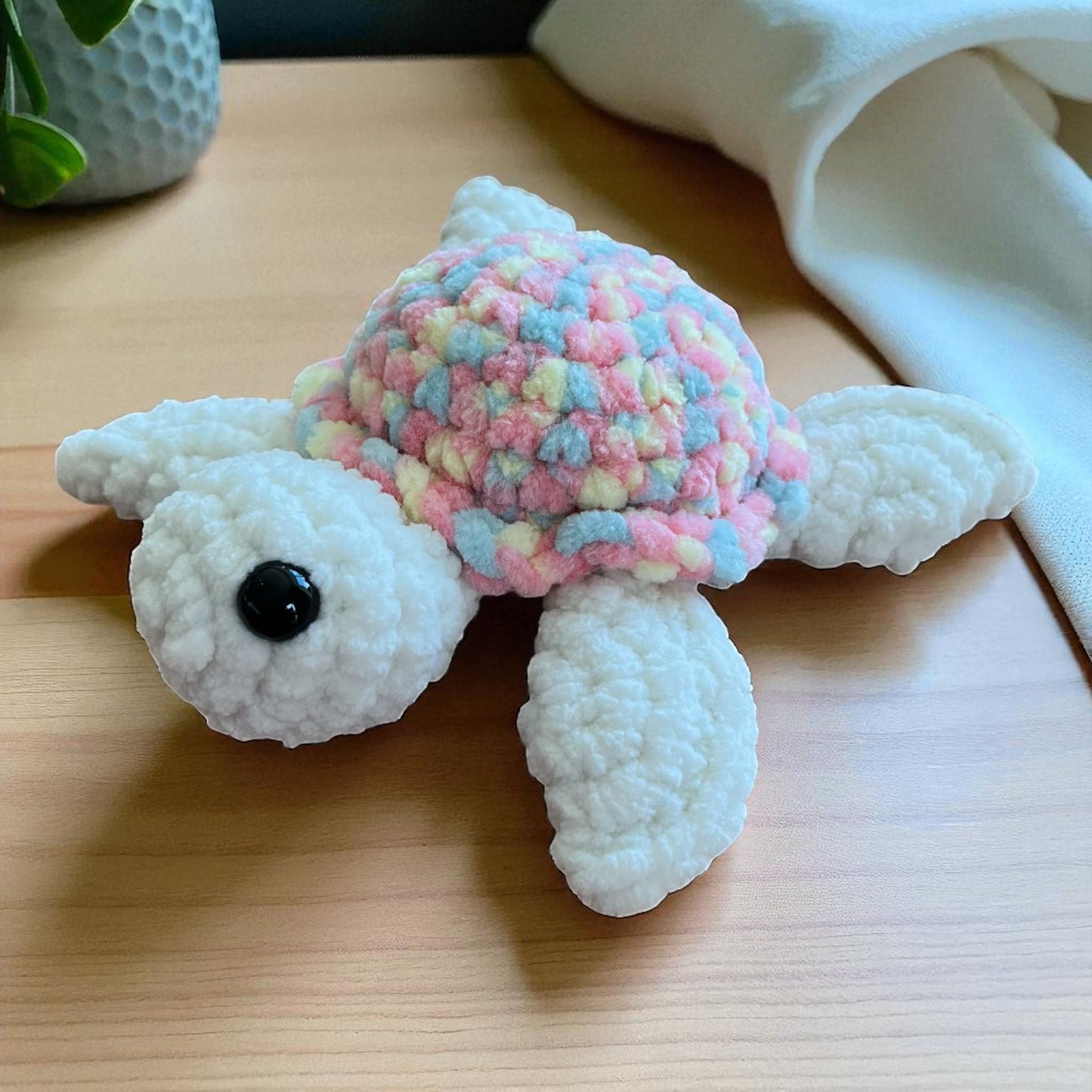 Small Variegated Turtle