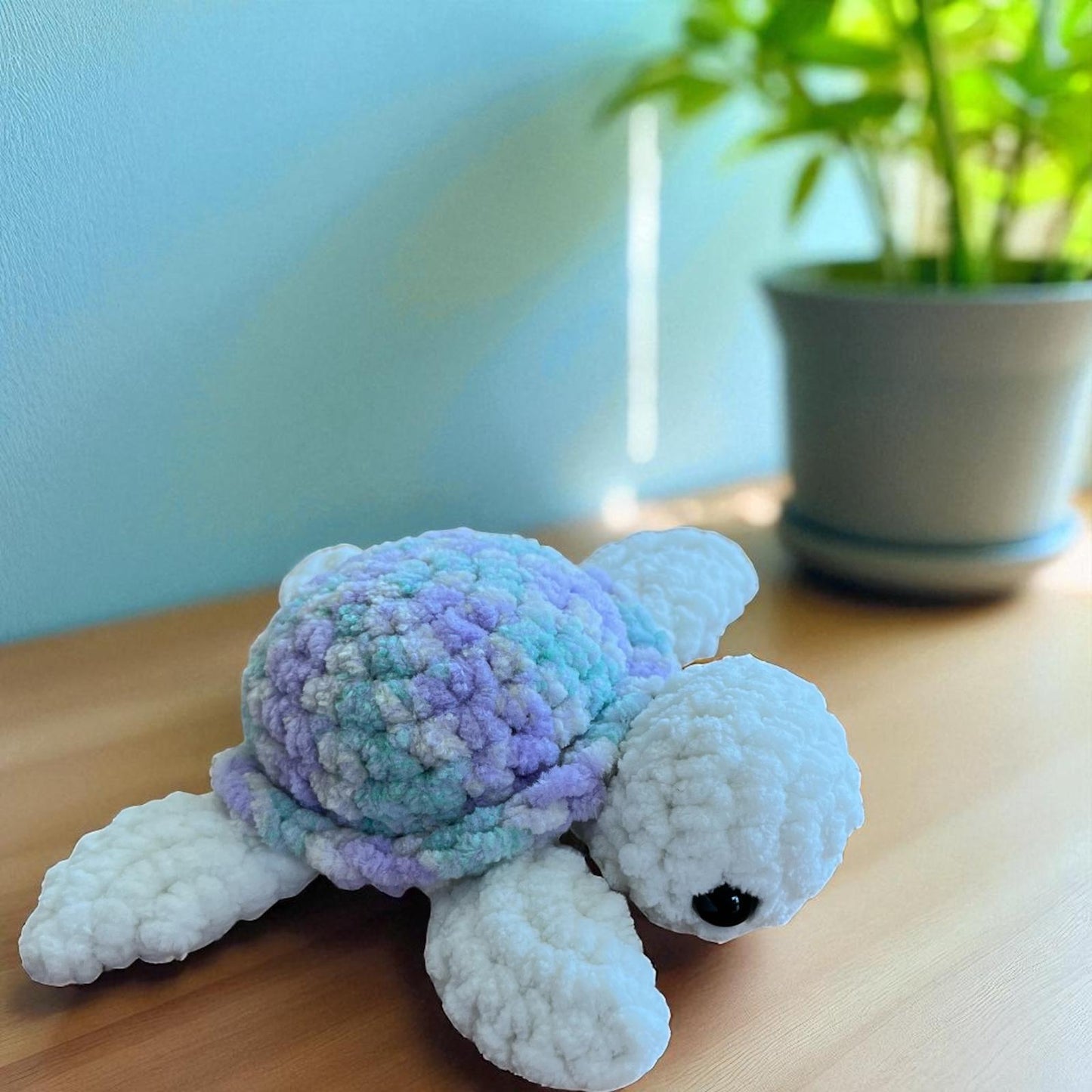 Small Variegated Turtle